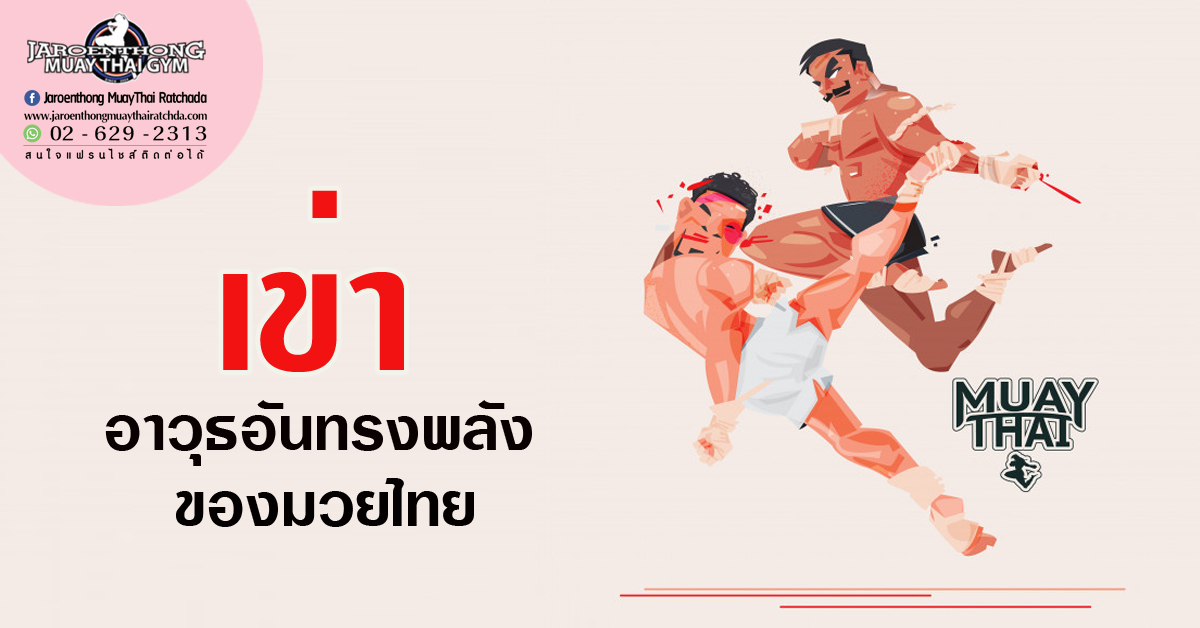 เข่า อาวุธอันทรงพลังของมวยไทย