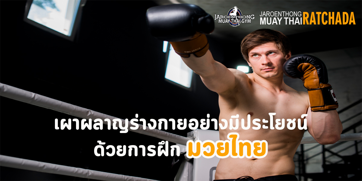 เผาผลาญ ร่างกาย อย่างมีประโยชน์ ด้วยการฝึก มวยไทย ( Muay Thai )