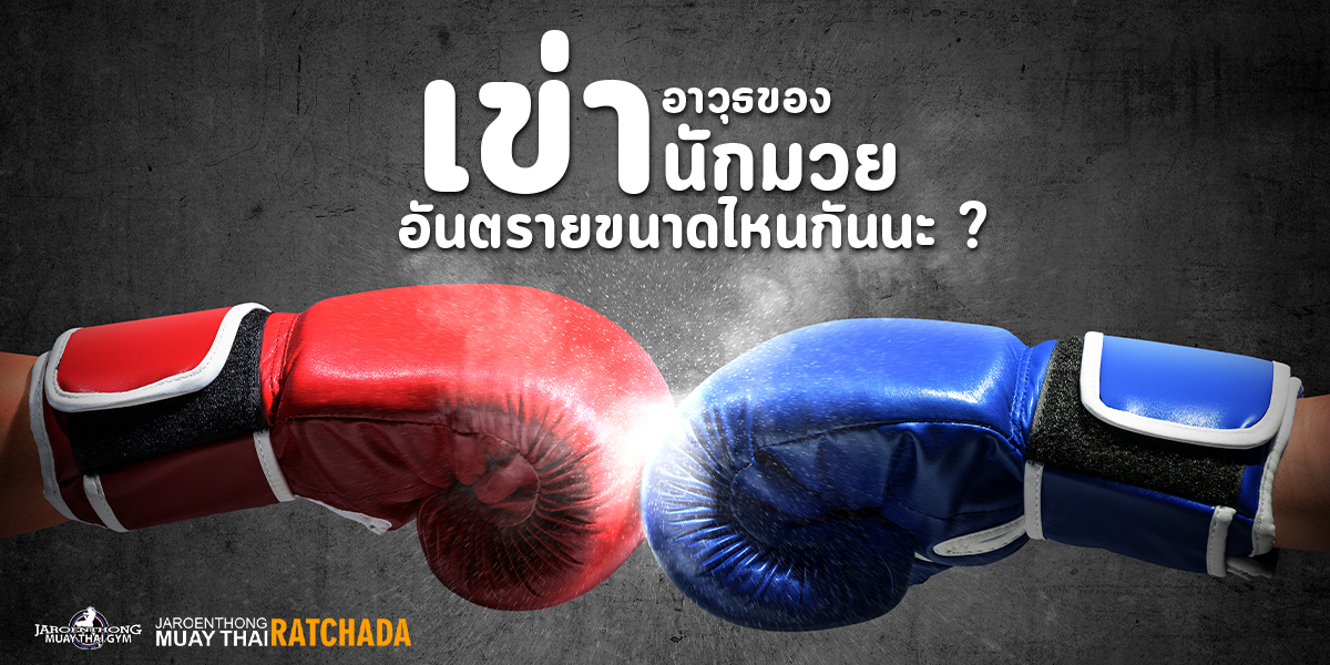 เข่า อาวุธของ นักมวย อันตรายขนาดไหนกันนะ ?