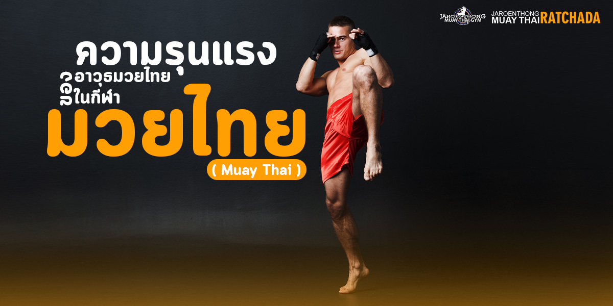 ความรุนแรง ของ อาวุธมวยไทย ในกีฬา มวยไทย ( Muay Thai )