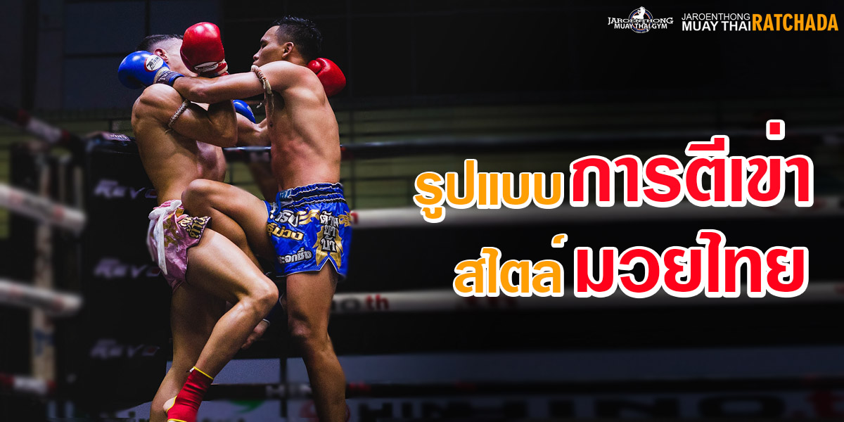 รูปแบบ การตีเข่า สไตล์ มวยไทย ( Muay Thai )